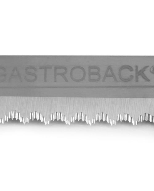 Cutit-electric-Gastroback-Home-Culture-41600-120W-2-lame-Argintiu